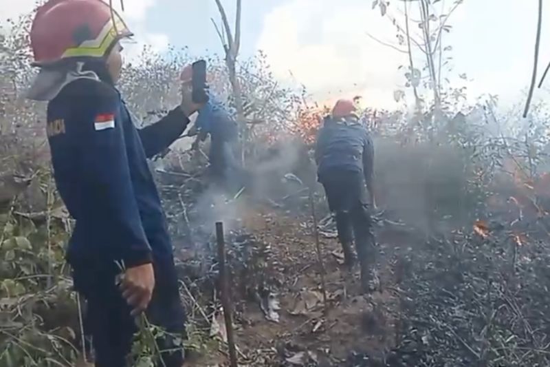 Lima Hektare Lahan di Lombok Tengah Terbakar Akibat Kebakaran Ubi