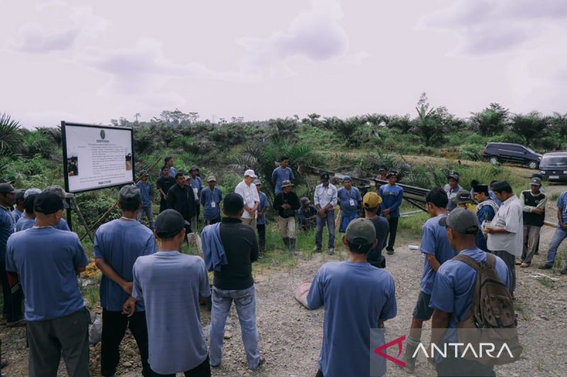 Kelompok Tani HSM Menang Sengketa Lahan di Aceh Tamiang