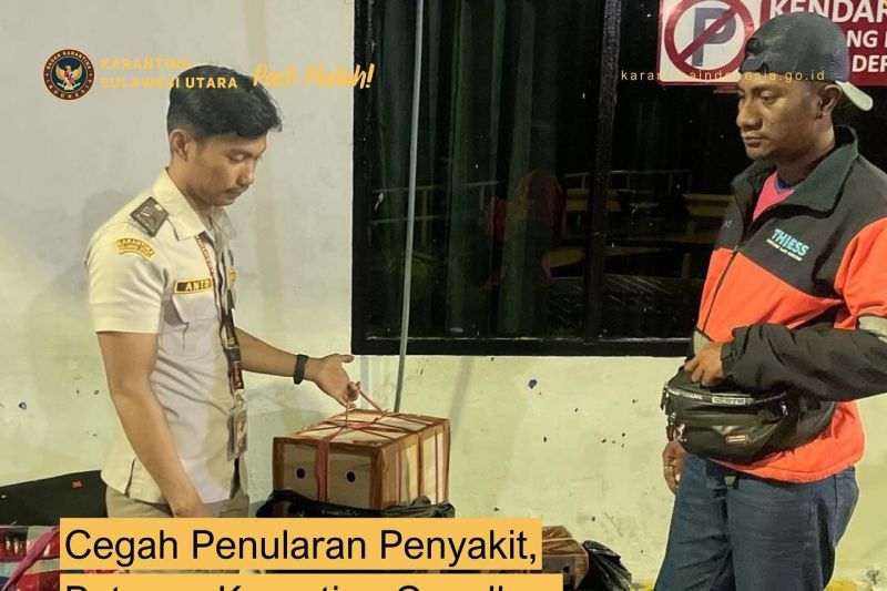 Pengiriman Unggas Tanpa Dokumen Karantina Gagal Dihentikan di Manado