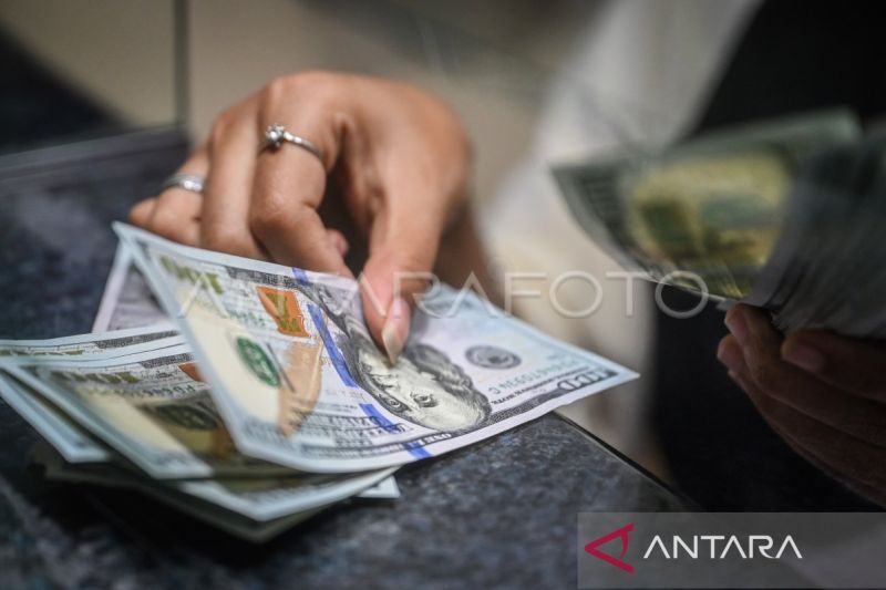 Petugas menghitung uang pecahan dolar AS di gerai penukaran mata uang asing di Jakarta, Jumat (21/6/2024). ANTARA FOTO/Rivan Awal Lingga/aww