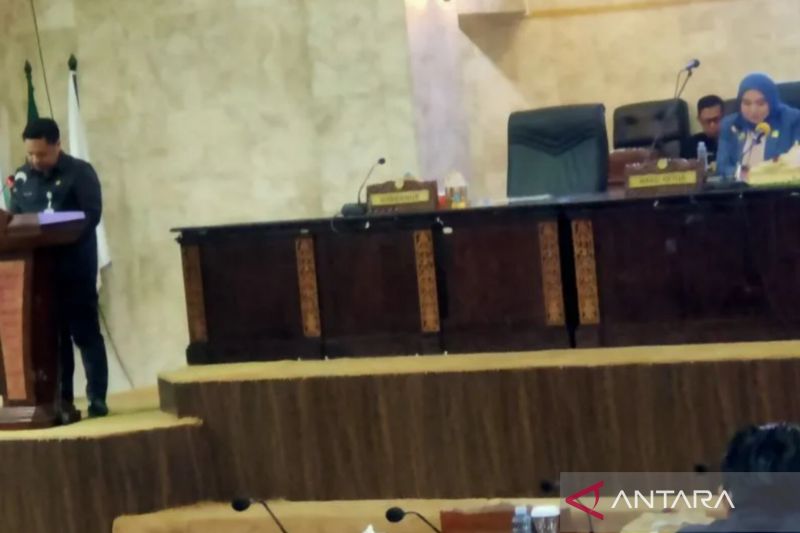 Sekretaris Daerah (Sekda) Provinsi Kalsel Roy Rizali Anwar (berdiri) menyampaikan Rancangan Anggaran Pendapatan Belanja Daerah Perubahan (RAPBD-P) Provinsi Kalsel 2024 saat Rapat Paripurna DPRD Provinsi Kalsel di Banjarmasin, Rabu (21/8/2024). (ANTARA/Syamsuddin Hasan)