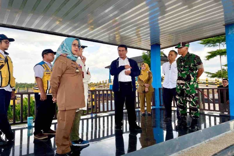 Pencetakan 500 Ribu Hektare Sawah di Kalimantan Tengah untuk Ketahanan Pangan