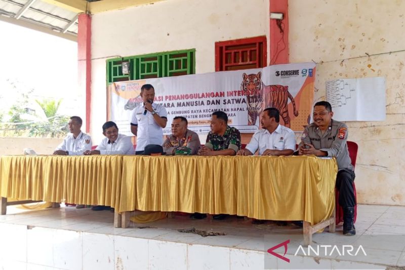 BKSDA Bengkulu saat melakukan sosialisasi kepada masyarakat terkait penanganan interaktif antara manusia dan harimau (21/8/2024). ANTARA/Anggi Mayasari