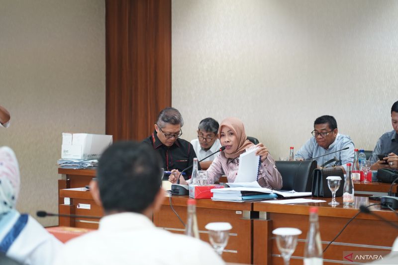 Ketua Tim Pansus Raperda Dana Cadangan DPRD Kota Bogor Laniasari. (ANTARA/HO-DPRD Kota Bogor)