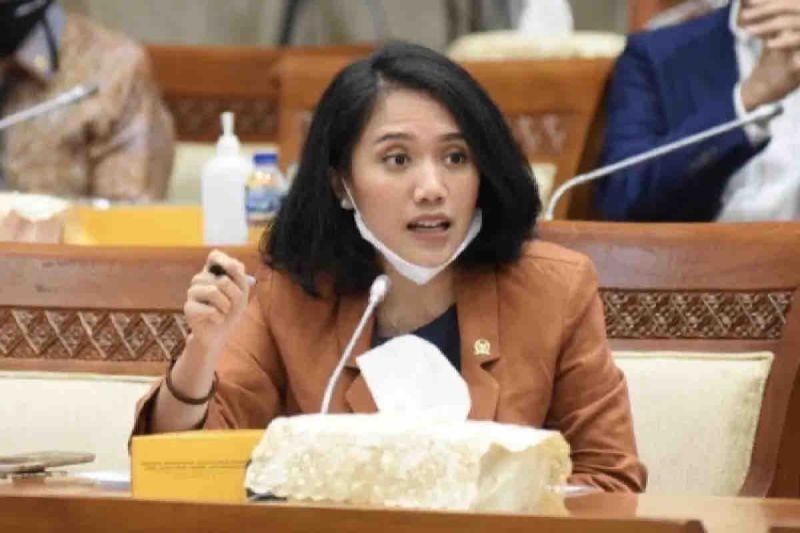 Anggota Komisi XI DPR Puteri Anetta Komarudin. ANTARA/HO-Humas DPR