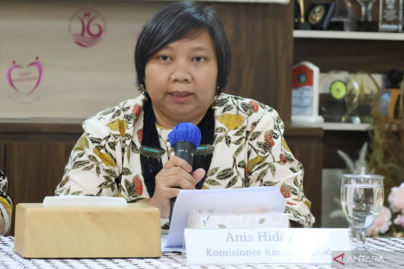 Komnas HAM Sebut Pencatutan KTP Langgar Hak Warga Negara
