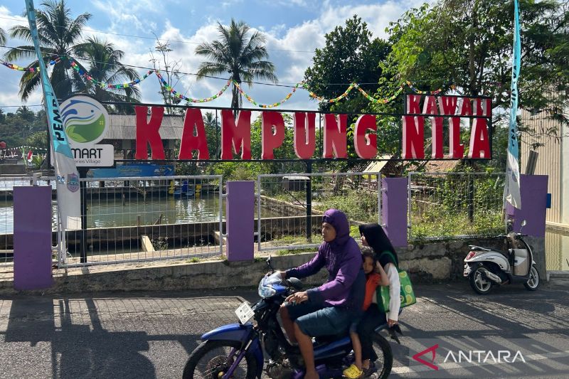 Ciamis Targetkan Jadi Kabupaten Penghasil Ikan Nila Terbesar