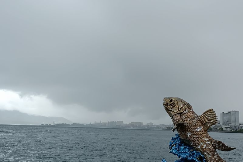 Hujan lebat yang dapat disertai petir dan angin kencang berpeluang terjadi di Kota Manado, wilayah sekitar hingga kepulauan. ANTARA/Karel A Polakitan