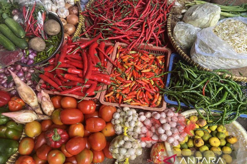 Perkembangan Harga Pangan Terbaru, Cabai Turun dan Daging Naik