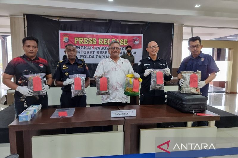Polda Papua Barat Tangkap Pengedar Ganja Sebanyak 2,8 Kilogram