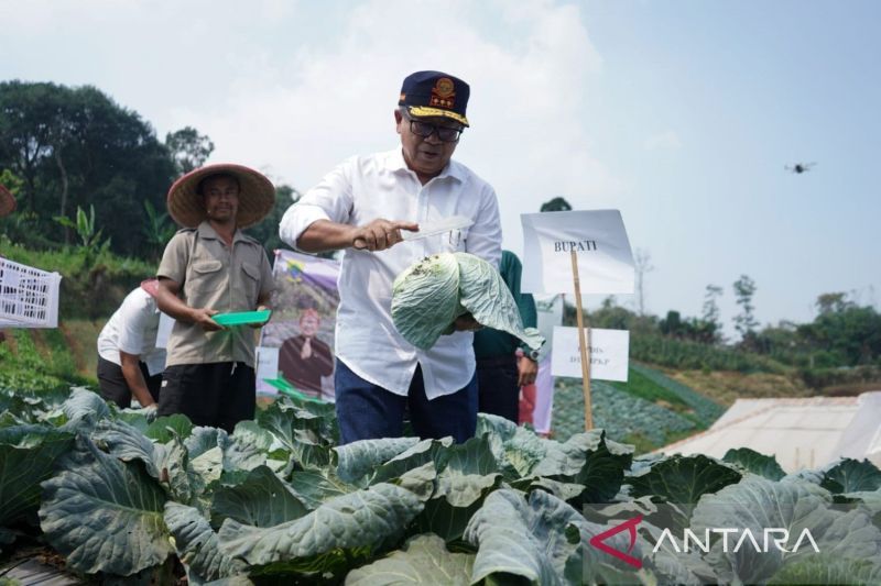 Cianjur Siap Jadi Penyuplai Utama Program Makan Siang Gratis