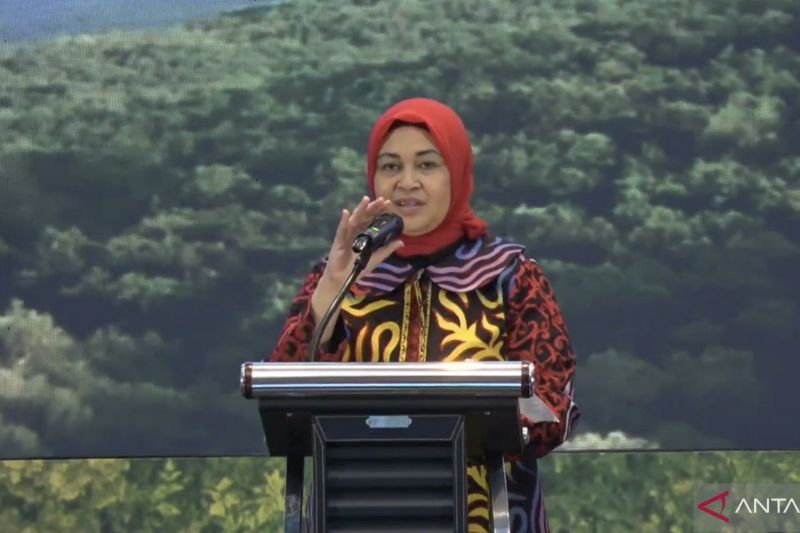 Tangkapan layar - Dirjen PDASRH KLHK Dyah Murtiningsih membuka Seminar Nasional Digitalisasi Transparansi dan Akuntabilitas Keberlanjutan Reklamasi Hutan dan Rehabilitasi DAS yang dipantau daring dari Jakarta, Kamis (22/8/2024) (ANTARA/Prisca Triferna)