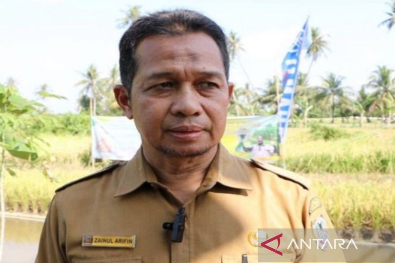 DPKP Kalsel Siapkan 150 Ton Benih Padi untuk Ketahanan Pangan