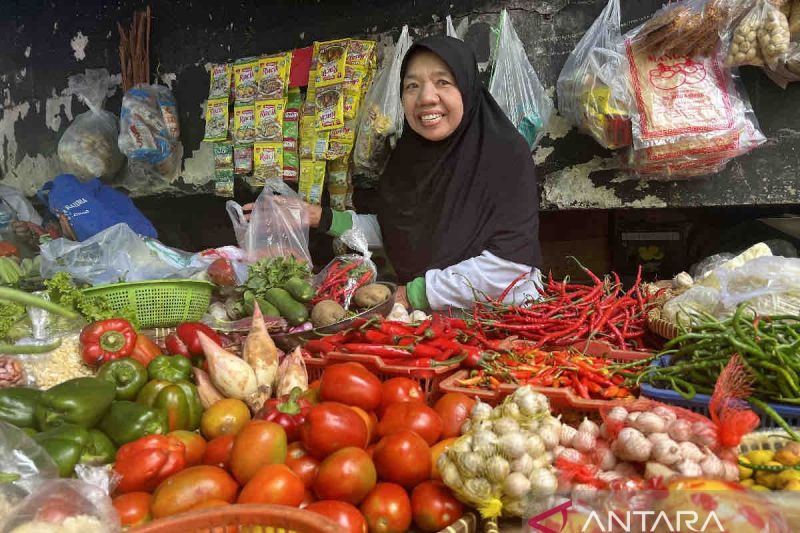 Kenaikan Harga Pangan Nasional, Bawang Merah Capai Rp25.920 per Kg