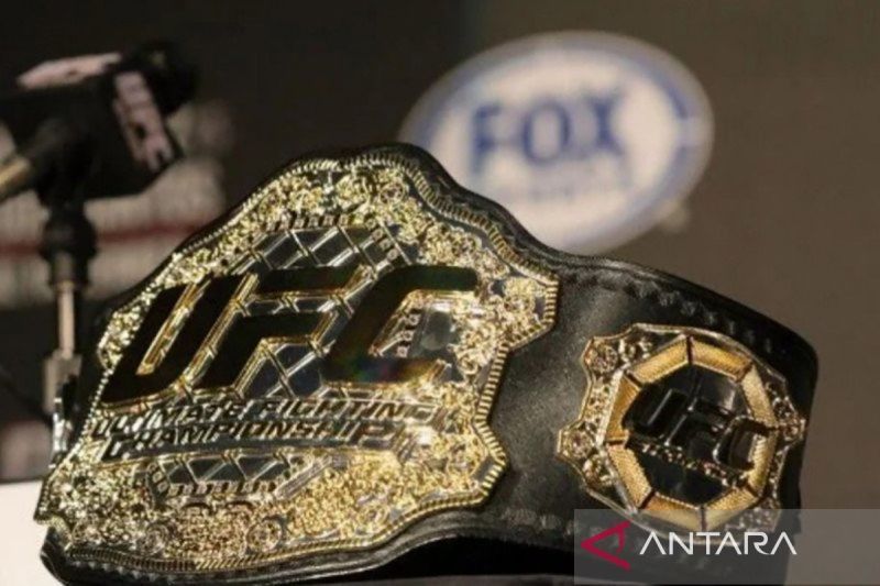 Dricus Buka Peluang Chimaev Jadi Penantang Nomor Satu Rebut Gelar UFC