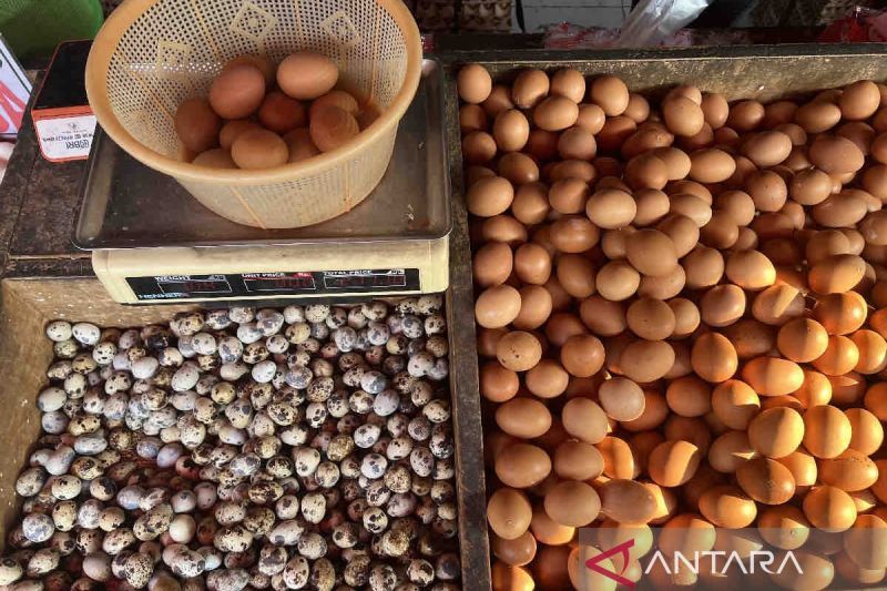Penurunan Harga Pangan Nasional, Telur dan Cabai Terapat Turun