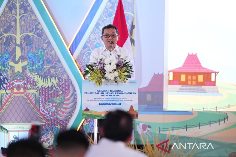 Deputy for macro economy and finance coordination at the Coordinating Ministry for Economic Affairs, Ferry Irawan, in Jakarta on Saturday (August 24, 2024). (ANTARA/HO-Kementerian Koordinator Bidang Perekonomian)