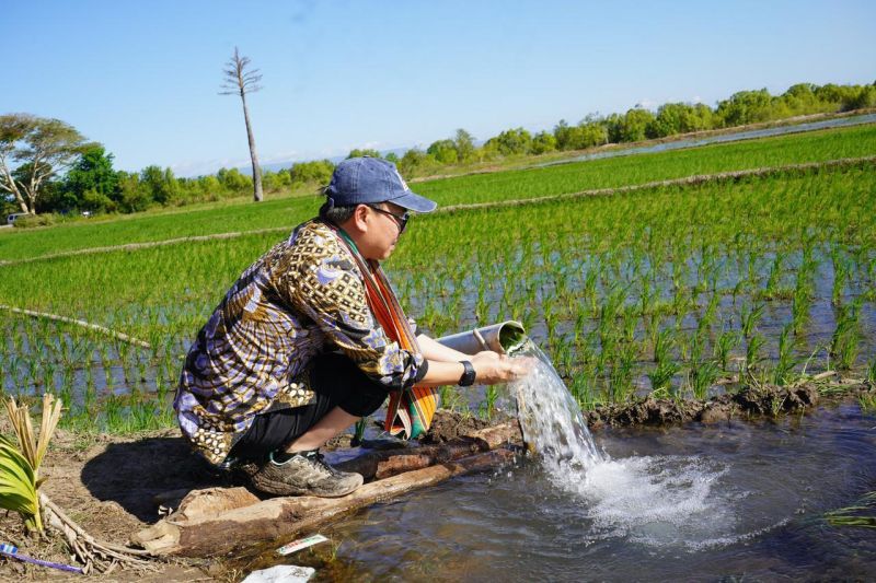 Program pompanisasi dari Kementan berhasil meningkatkan produksi pertanian di berbagai daerah. (ANTARA/HO-Kementan)