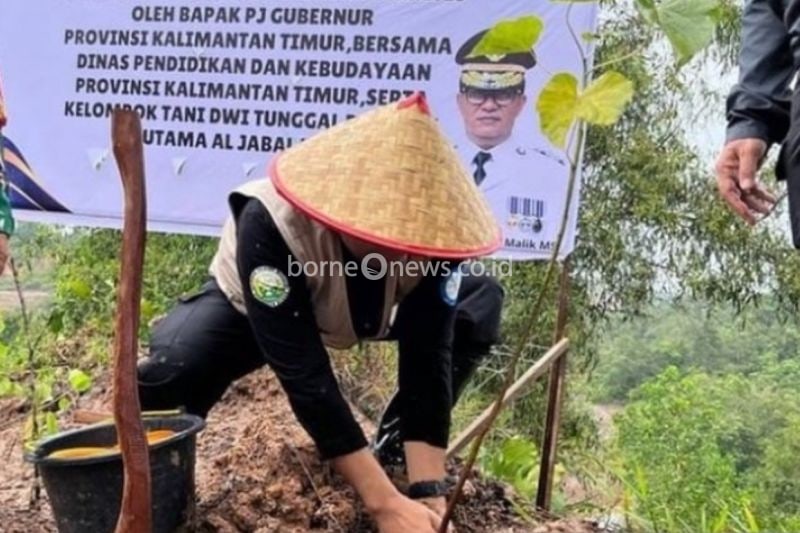 Penjabat Gubernur Kaltim Tanam Bibit Pohon di Lahan Kritis
