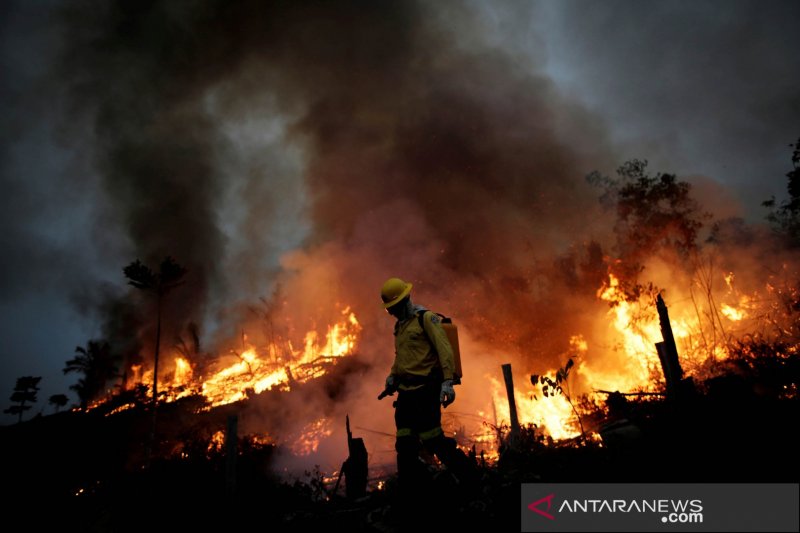 Pemerintah Sao Paulo Bentuk Kabinet Krisis Atasi Kebakaran Hutan