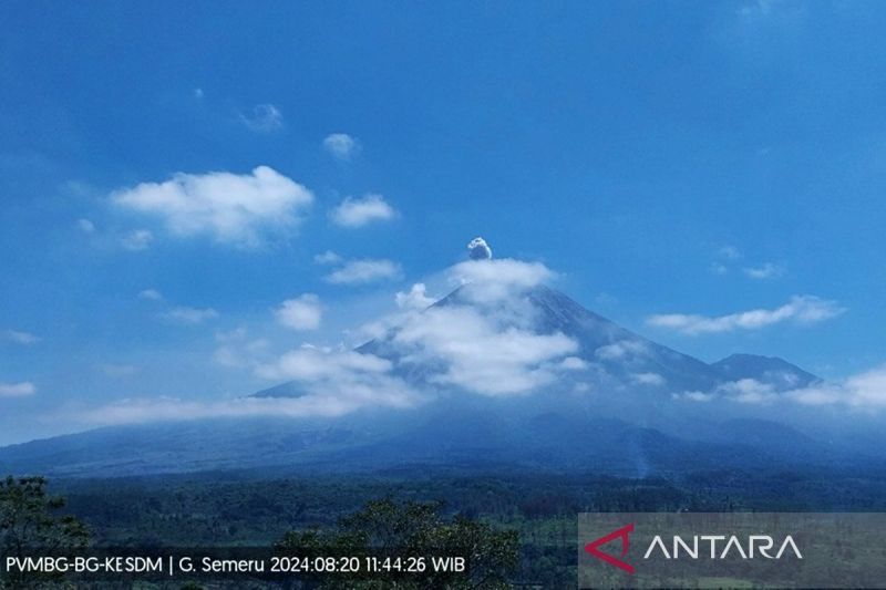 Gunung Semeru erupsi. ANTARA/HO-PVMBG/am