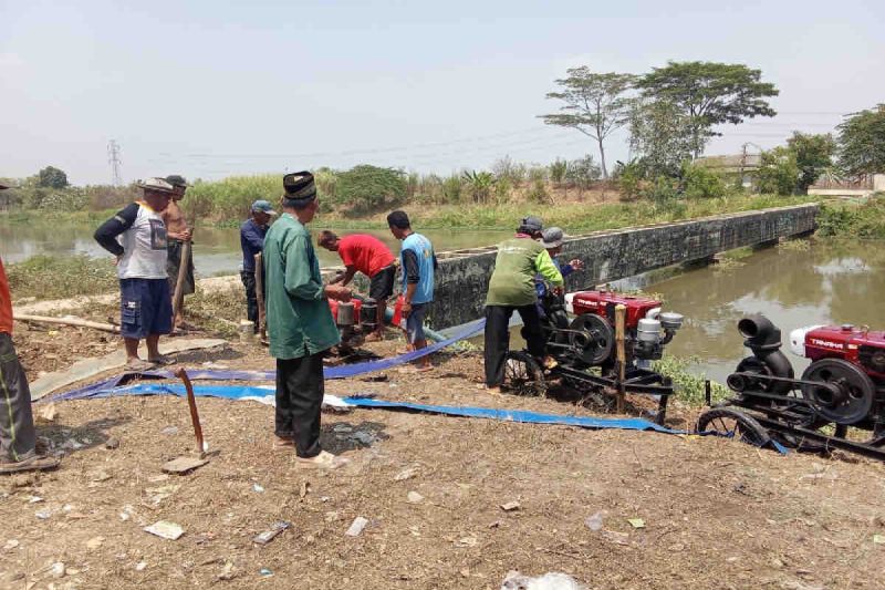 Kementerian Pertanian bersama Pemerintah Kabupaten Subang gerak cepat melakukan pemasangan pompa di lahan sentra padi di Subang, Minggu (25/8/2024). ANTARA/HO-Humas Kementan