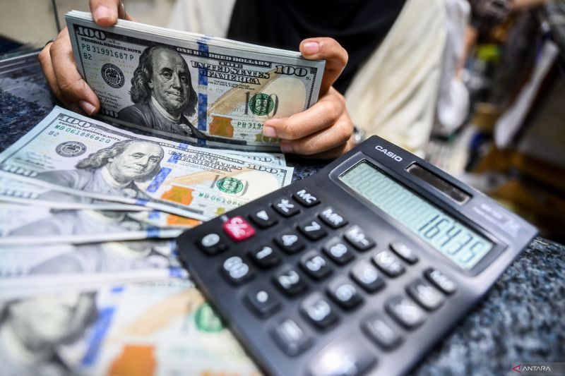 Petugas menghitung uang pecahan dolar AS di gerai penukaran mata uang asing di Jakarta, Jumat (21/6/2024). ANTARA FOTO/ Rivan Awal Lingga/aww.