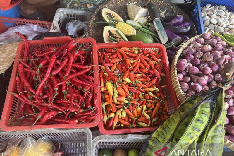 Penurunan Harga Pangan, Cabai Rawit Jangkau Rp52.900 per Kg