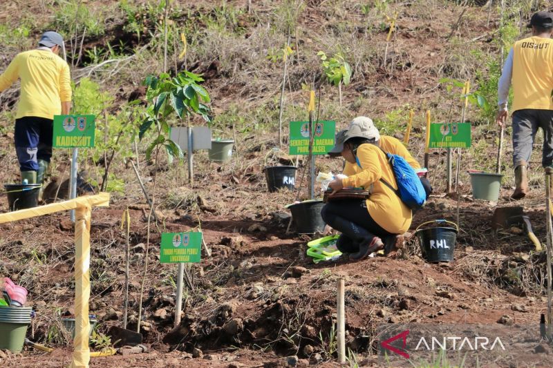 KLHK Siapkan Bibit Berkualitas Unggul untuk Rehabilitasi Lahan