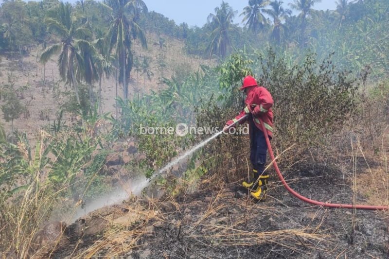 Waspadai Kebakaran Hutan dan Lahan di Musim Kemarau Lampung Selatan