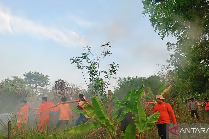 Tim Satgas BPBD OKU memadamkan api karhutla. (ANTARA/Edo Purmana)