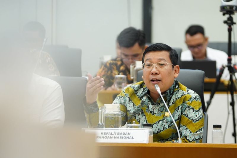 Peran BUMN sebagai Standby Buyer Penting untuk Ketahanan Pangan