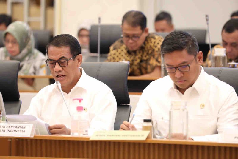 Menteri Pertanian Andi Amran Sulaiman (kiri) dan Wakil Menteri Pertanian Sudaryono (kanan) dalam Rapat Kerja bersama Komisi IV DPR RI di Jakarta, Senin (26/8/2024). ANTARA/HO-Humas Kementan