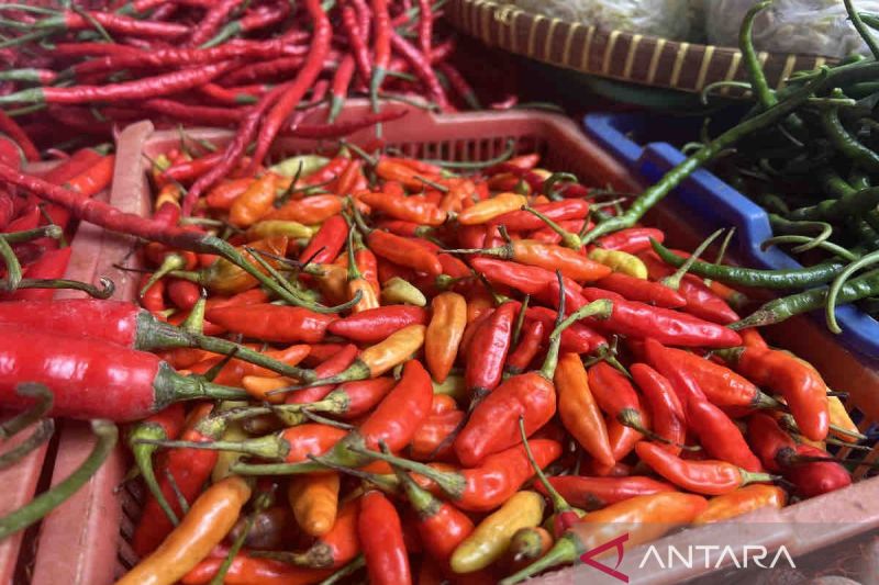 Kenaikan Harga Pangan Tercatat di Jakarta, Cabai Merah Melonjak