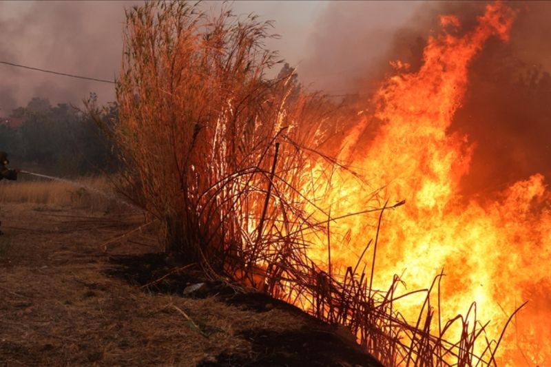 Yunani Peringatkan Risiko Tinggi Kebakaran di Gunung Pangaion