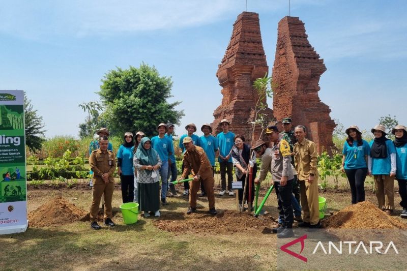 Mahasiswa Tanam 6.208 Pohon di Kawasan Cagar Budaya Trowulan