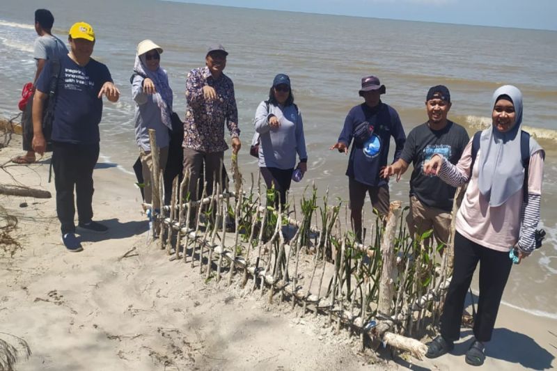 Pelaksanaan vegetasi pantai di kawasan pesisir Sukamara, (25/8/2024). (ANTARA/HO-Dislutkan Kalteng)