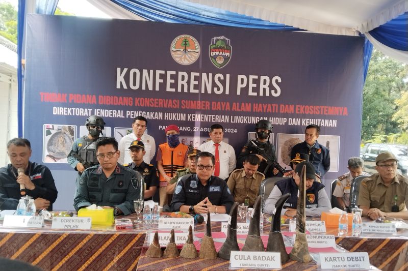 KLHK Usut Kasus Penyelundupan Cula Badak di Palembang