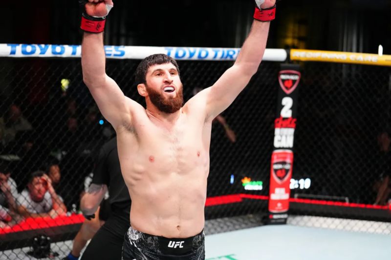 Petarung kelas berat ringan Ultimate Fighting Championship (UFC) Magomedov Ankalaev membantah dirinya disebut menolak tawaran bertarung untuk merebut gelar juara kelas berat ringan UFC. (ANTARA/HO-Laman MMA fighting/Chris Unger/Zuffa LLC via Getty Images)