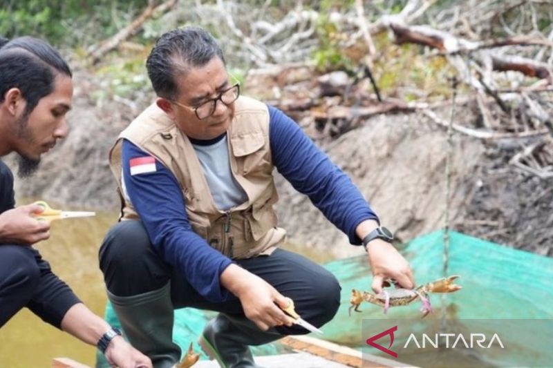 Ajak Masyarakat Berperan Aktif Dalam Restorasi Ekosistem Kaltim