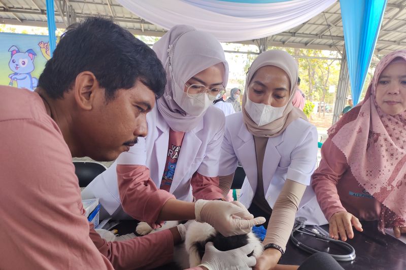 UPTD Kesehatan Hewan Lampung Layani 1.295 Ekor Hewan pada Triwulan II