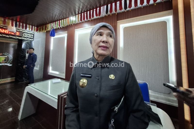 Kepala Dinas Lingkungan Hidup (DLH) Provinsi Lampung Emilia Kusumawati saat memberi keterangan. ANTARA/Ruth Intan Sozometa Kanafi.