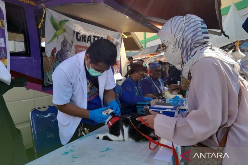 Diskannak Garut Siapkan 3.000 Vaksin Antirabies untuk Hewan Peliharaan