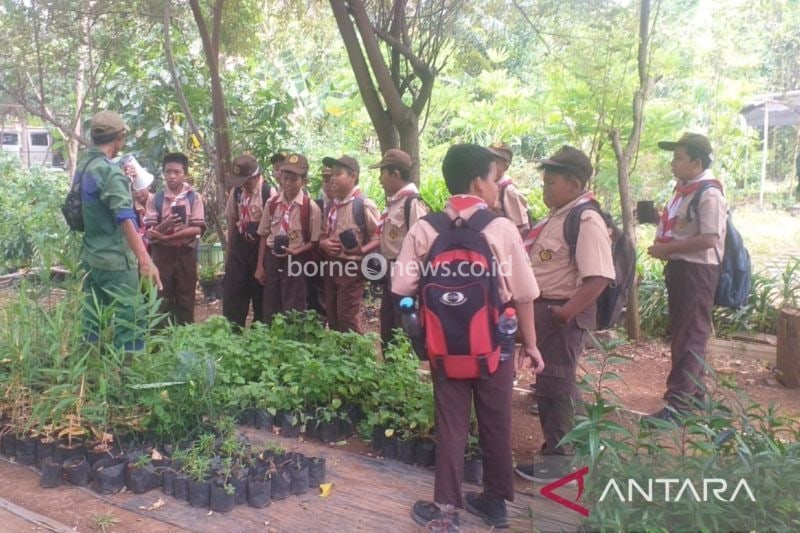 Kegiatan Bercocok Tanam Siswa SD Dukung Ketahanan Pangan Jakarta