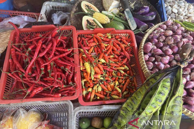 Kenaikan Harga Pangan Signifikan, Cabai Merah Capai Rp50.000 per kg