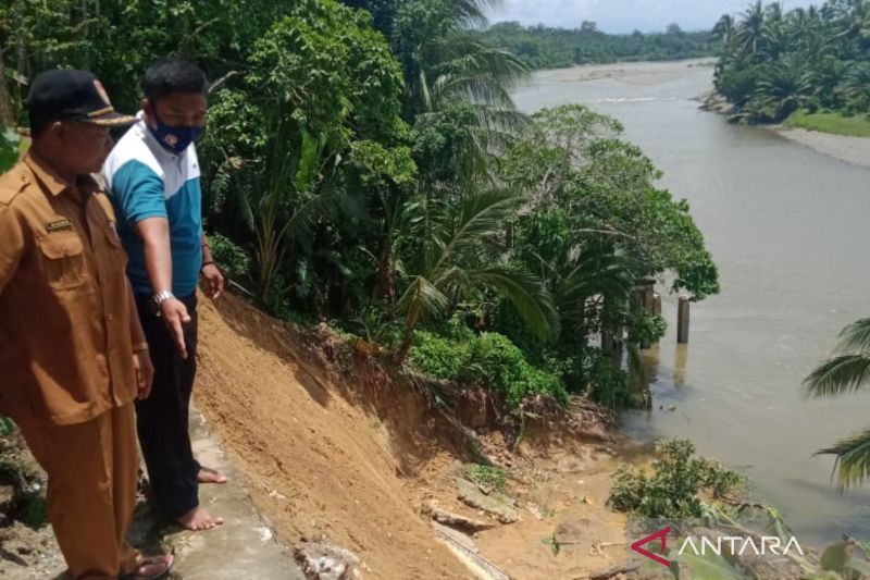 Kondisi tebing Sungai Muar di Desa Medan Jaya, Kabupaten Mukomuko yang longsor, Kamis (29/8/2024) ANTARA/Ferri.