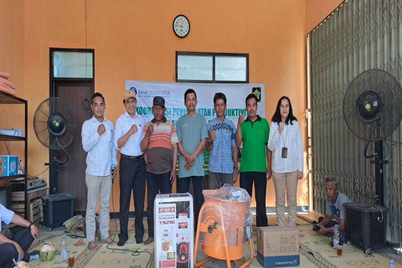 Dinas Pertanian Kulon Progo Salurkan Bantuan untuk Petani Cabai
