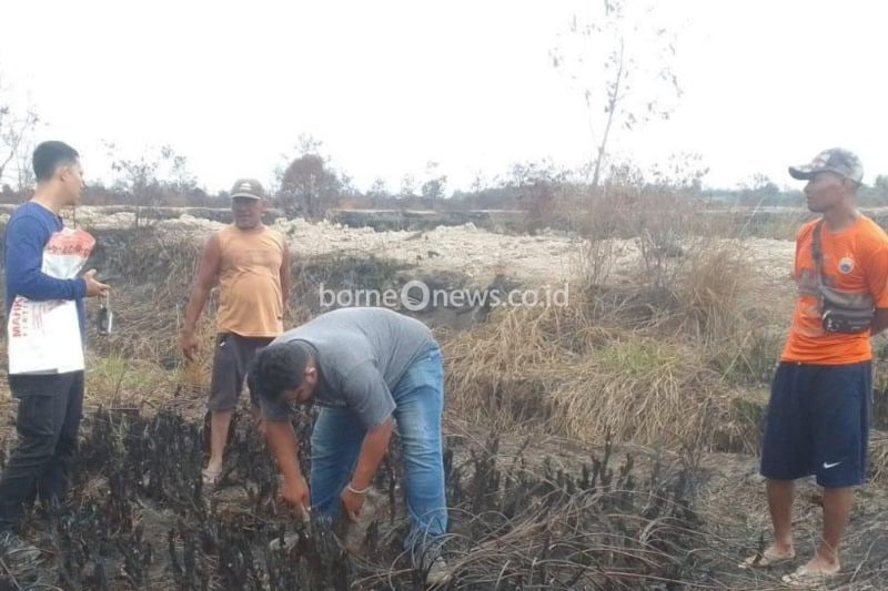 Polda Jambi Selidiki Kebakaran Hutan di Konsesi Tanjab Barat