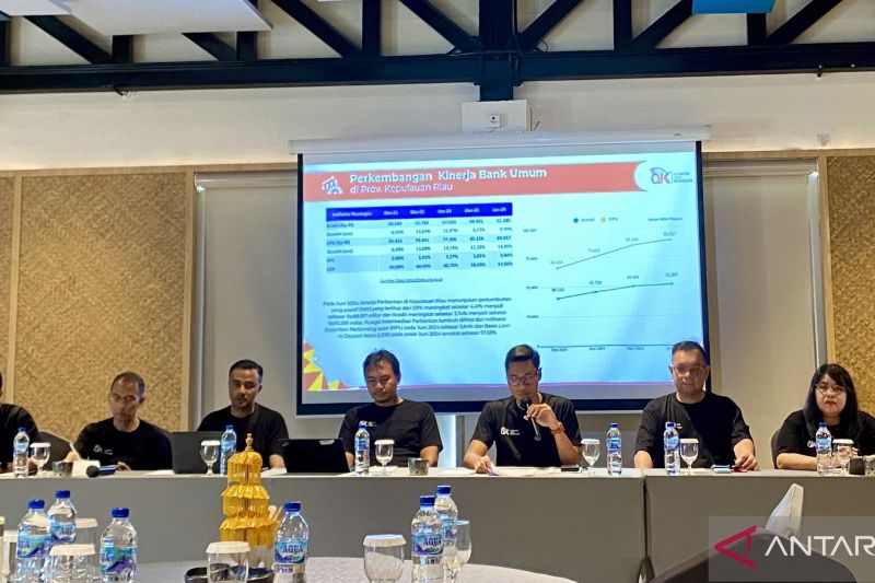 OJK Kepri ungkap stabilitas sektor jasa keuangan semester I 2024