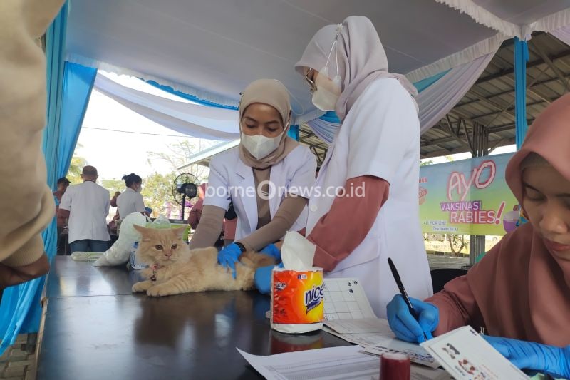 Ilustrasi- Dokter hewan saat memberi vaksin kepada hewan peliharaan milik masyarakat Kota Bandarlampung. ANTARA/Ruth Intan Sozometa Kanafi.